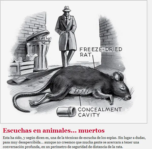 armas armas