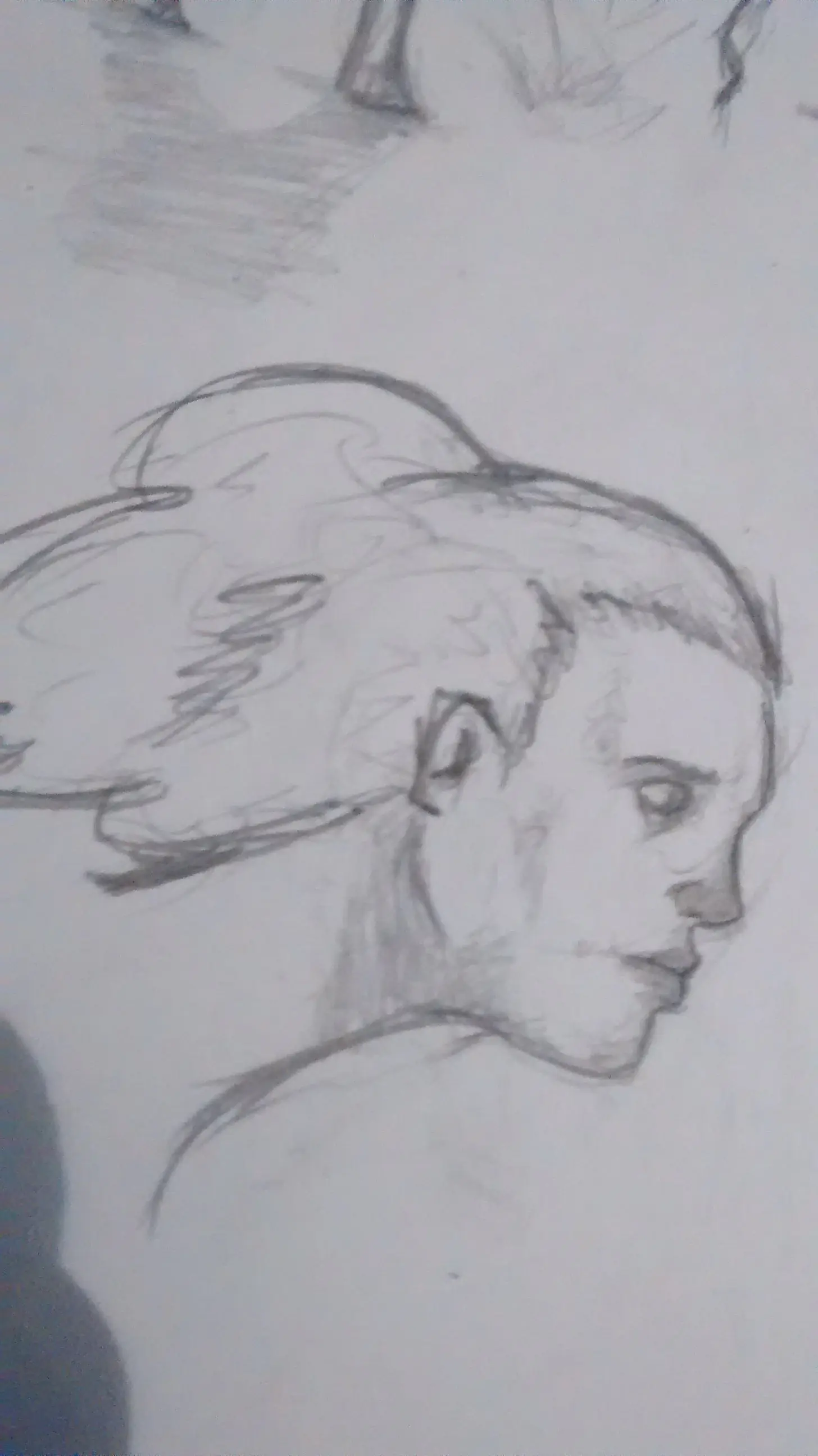 dibujos
