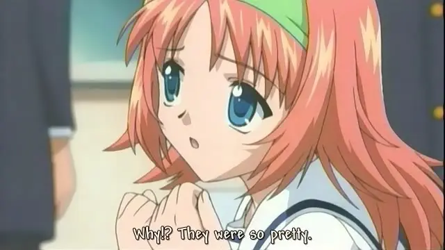 anime