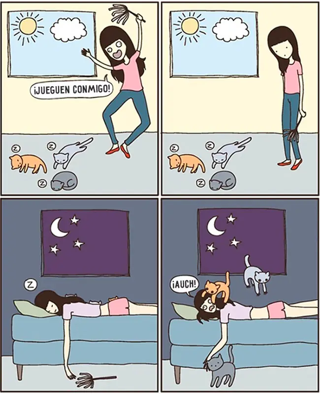 mascotas