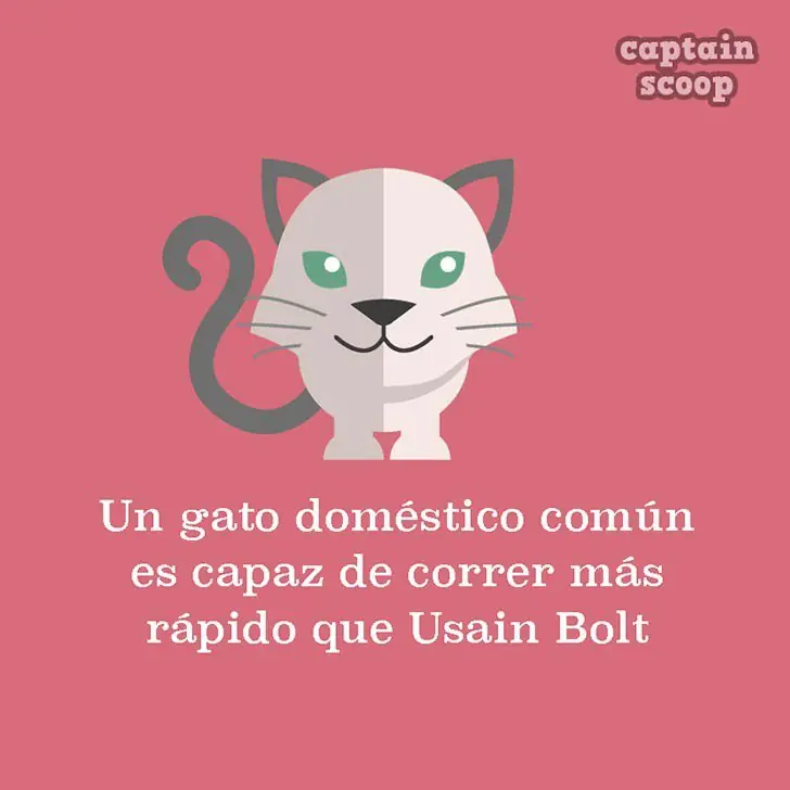 imagenes