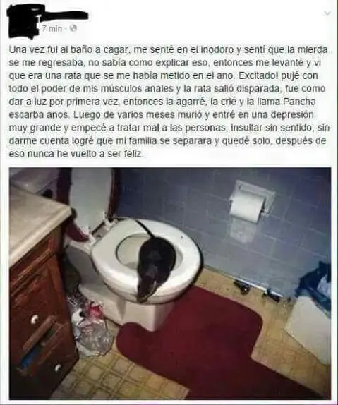 gigolo