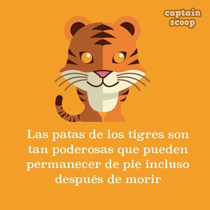 15 datos animales