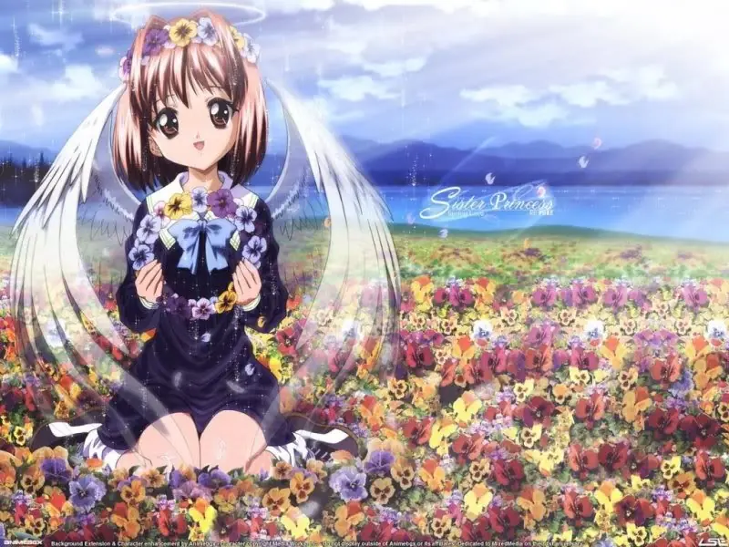 anime