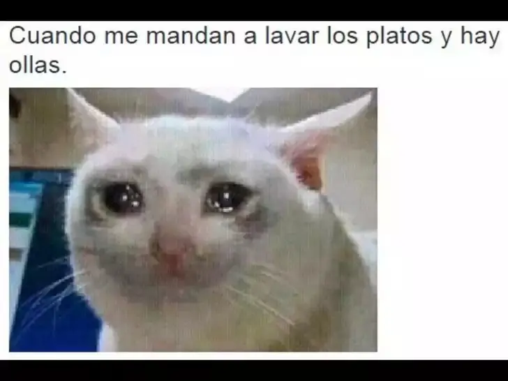al pedo