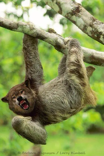 humor...no apto para cardíacos(imágenes)