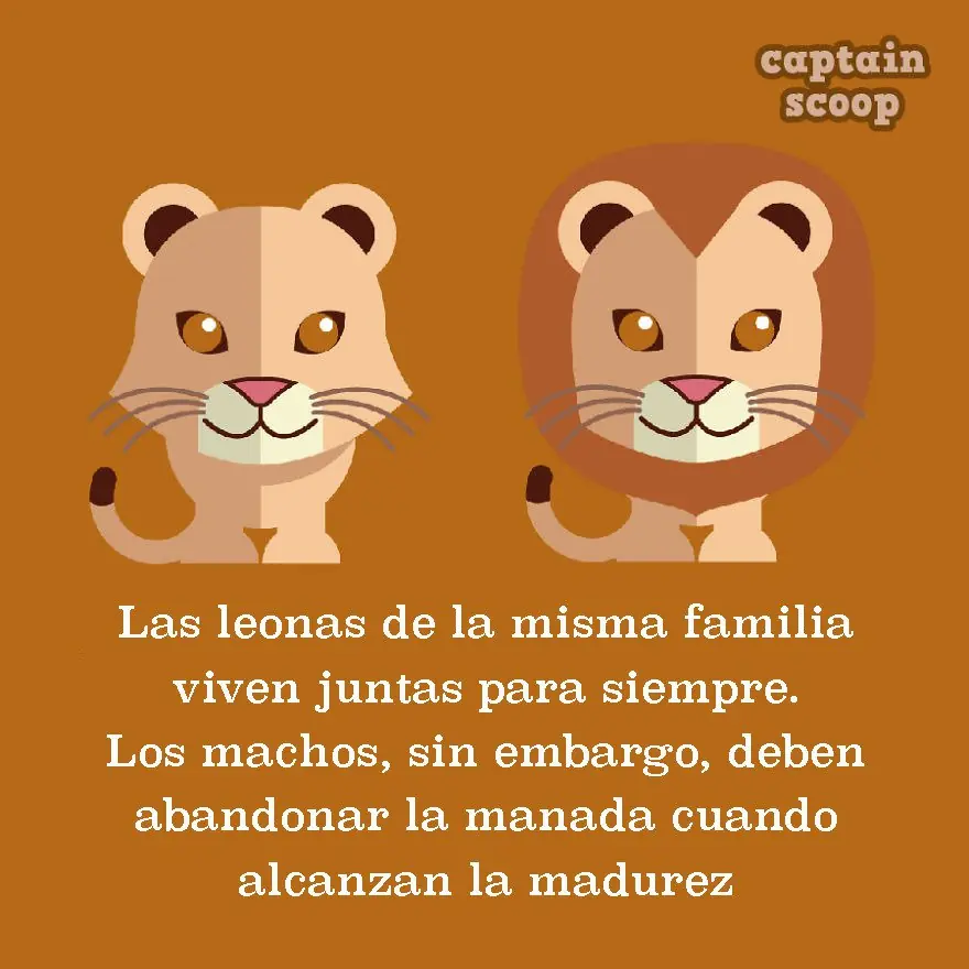 15 datos animales