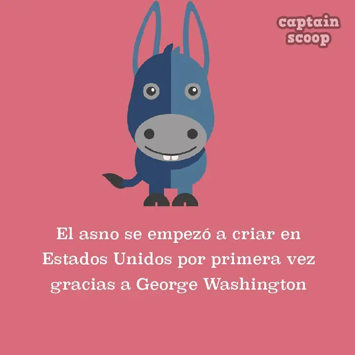 15 datos animales