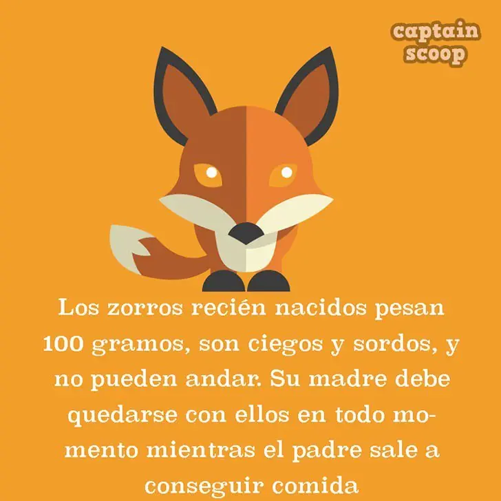 imagenes