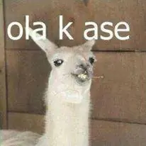 humor...no apto para cardíacos(imágenes)