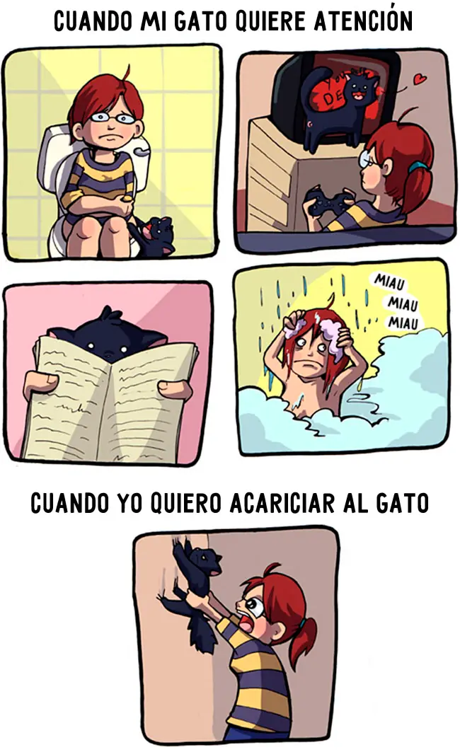 duenos