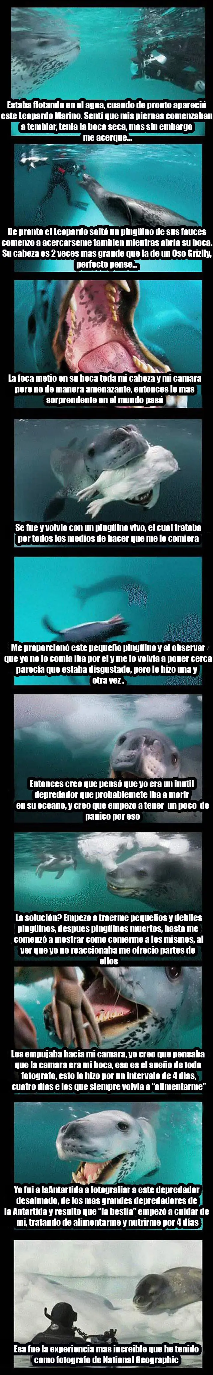 graciosas