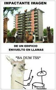 imagenes