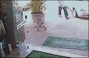 WTF