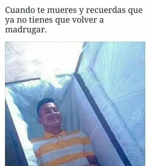 el viejo bigoton