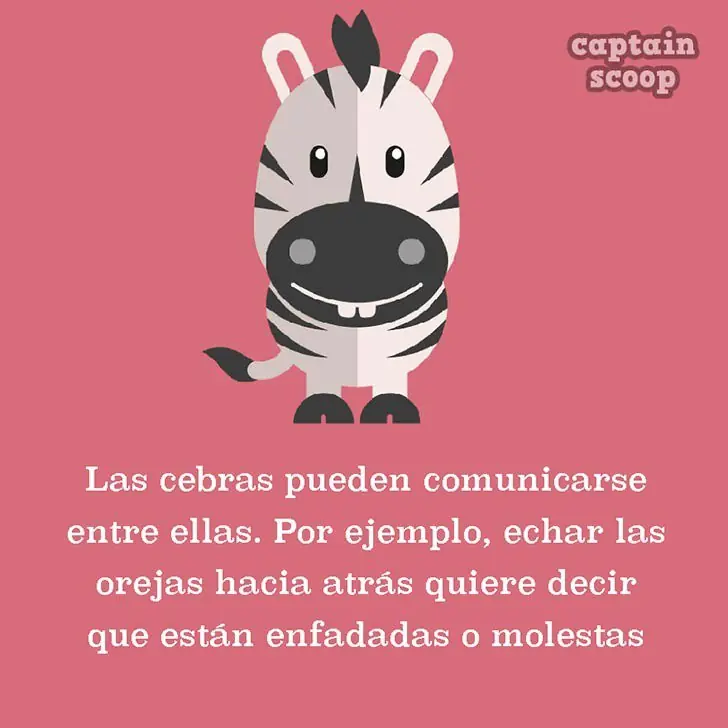 info