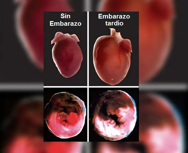 20datos que no