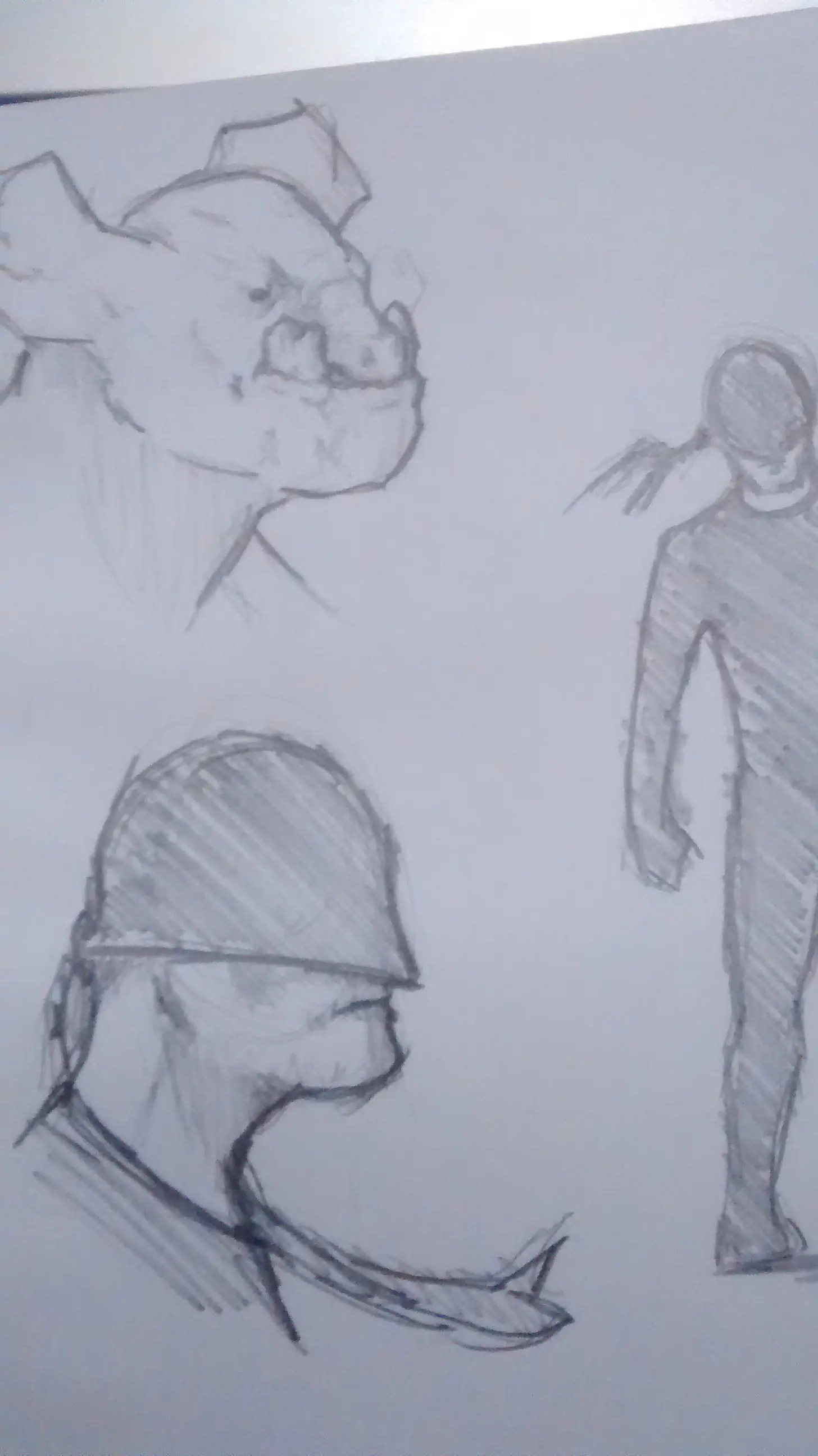 boludeces