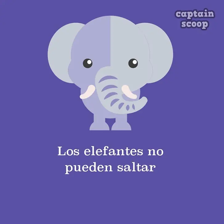 imagenes