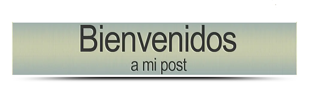 Encripta tu exploración en Internet con Google