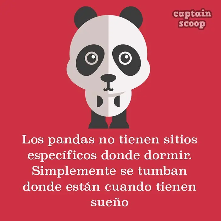 datos curioso animales