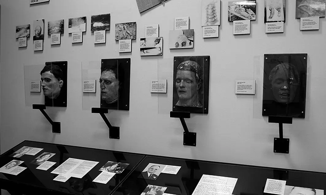 paginas de wikipedia