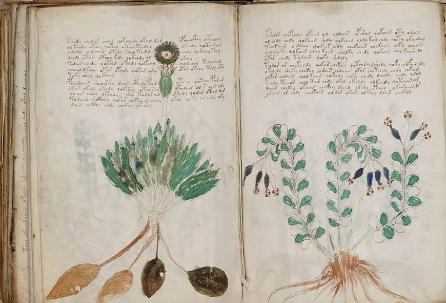 25 paginas de Wikipedia que te van a dejar pelado.