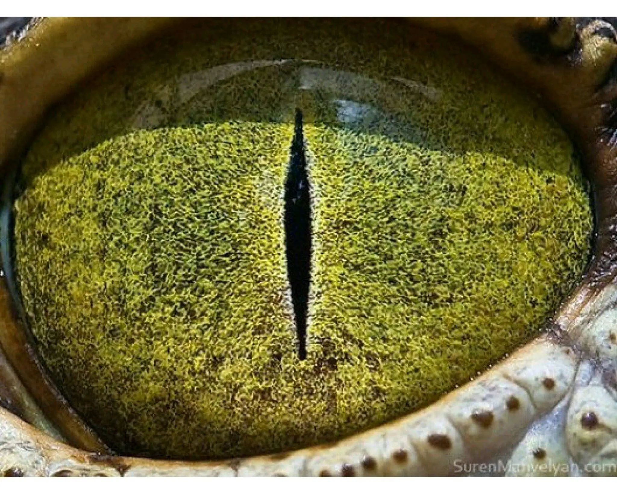 humor...no apto para cardíacos(imágenes)