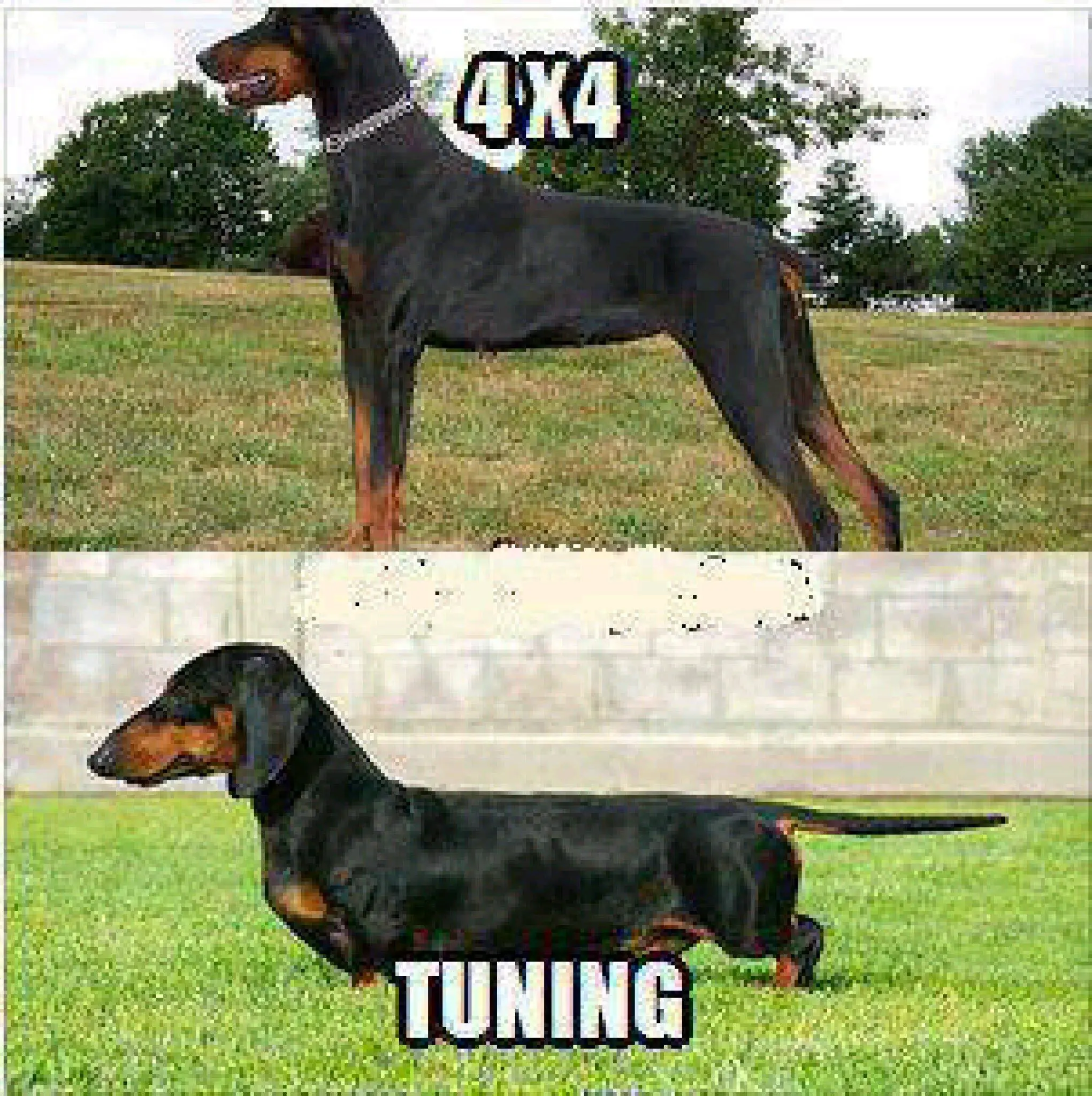 humor...no apto para cardíacos(imágenes)