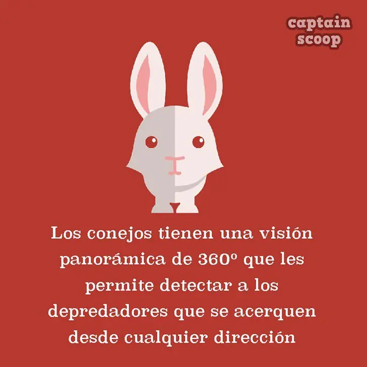 info