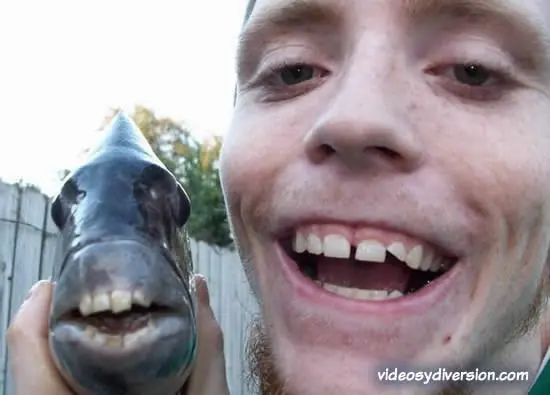 Muchos datos que no te enseñan en la escuela