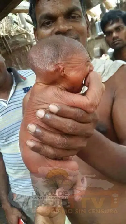 bebe