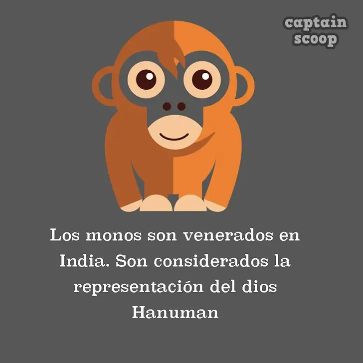 15 datos animales