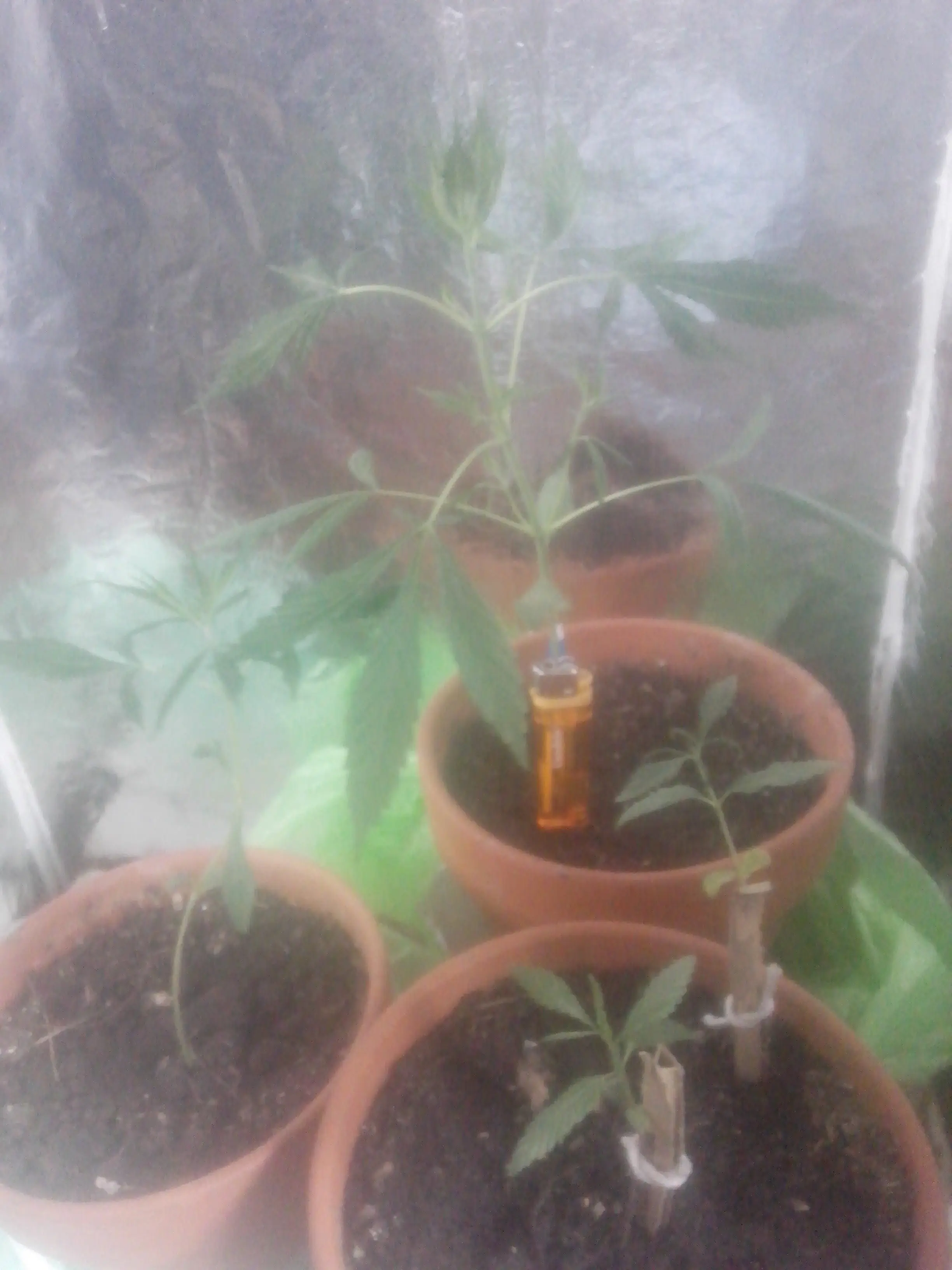 El Indoor mas BARATO que se puede hacer!!