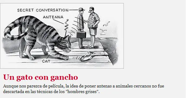secretos secretos
