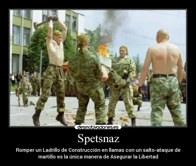 Fuerza Aerea Fuerza Aerea