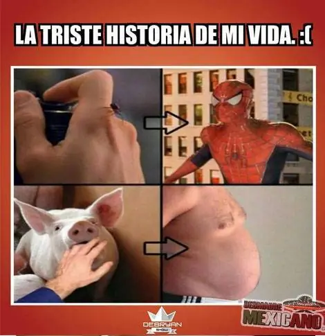 Divertido Divertido