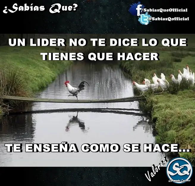 humor humor