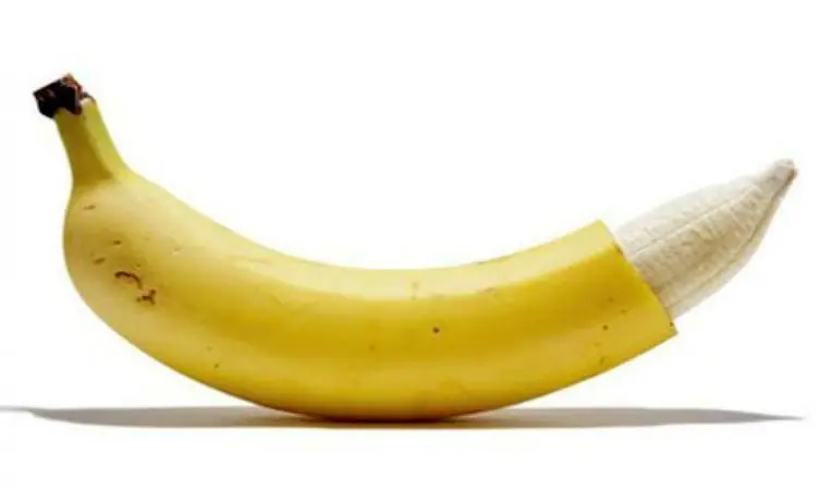 circuncision