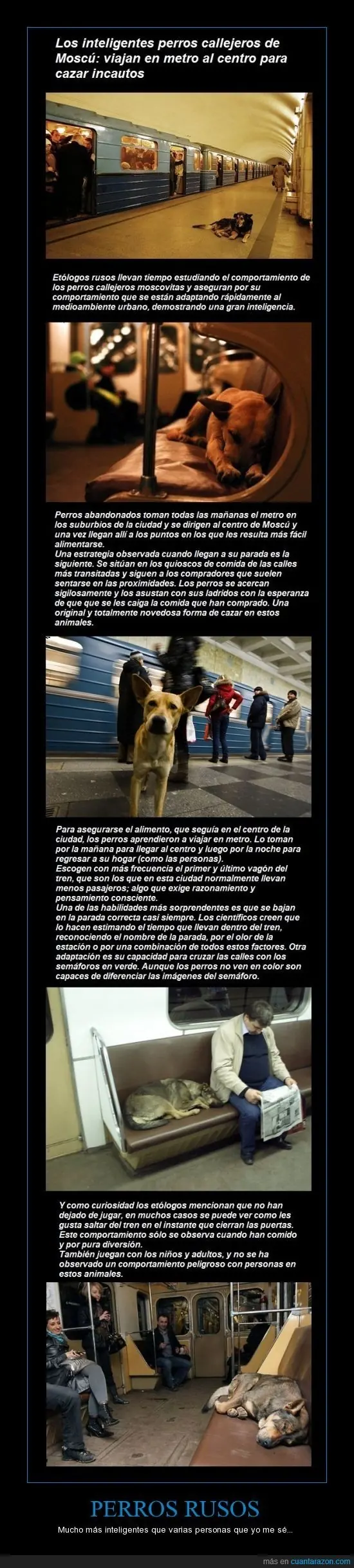 rato