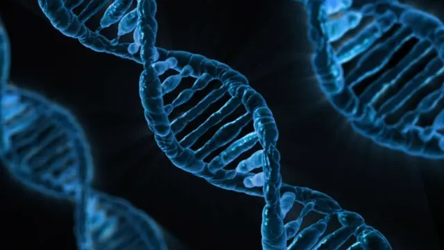 ¿Cuántos datos podríamos almacenar usando nuestro ADN?