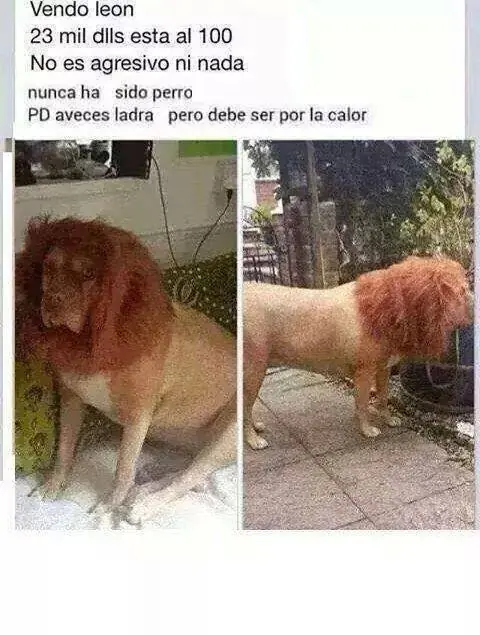 Cuidado, se vende ilegal x facebook