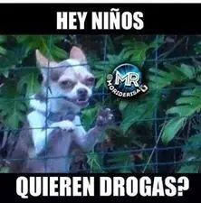 humor