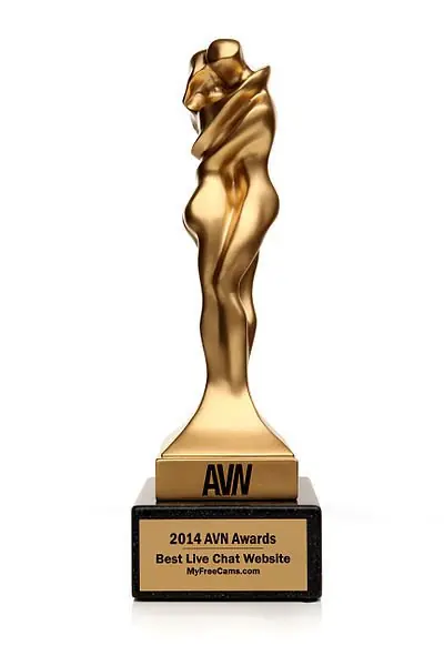 avn awards