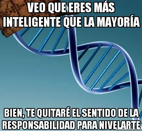 memes