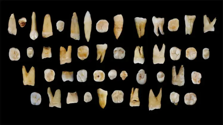 Demuestran que el Homosapiens llegó a Asia hace 100.000 años