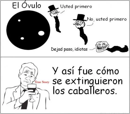 Variado Variado