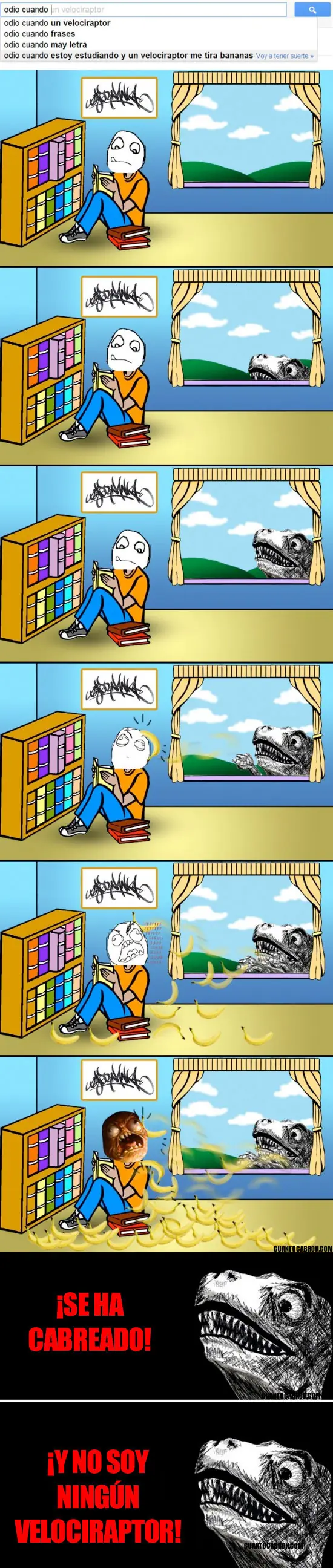 Variado Variado