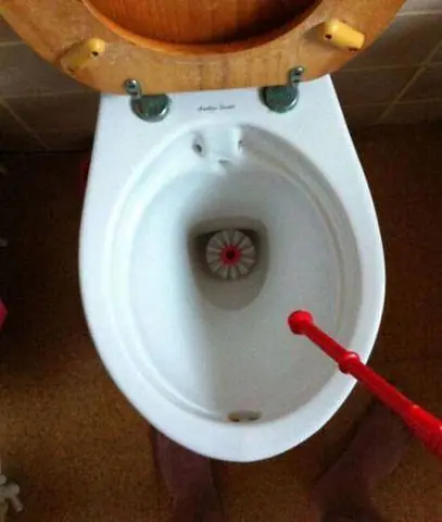 Variado Variado