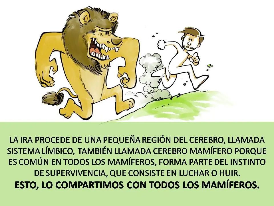 dolor